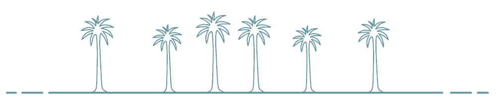 palm trees illustrations