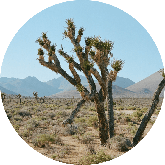 Inyo County Traffic School Traffic School
